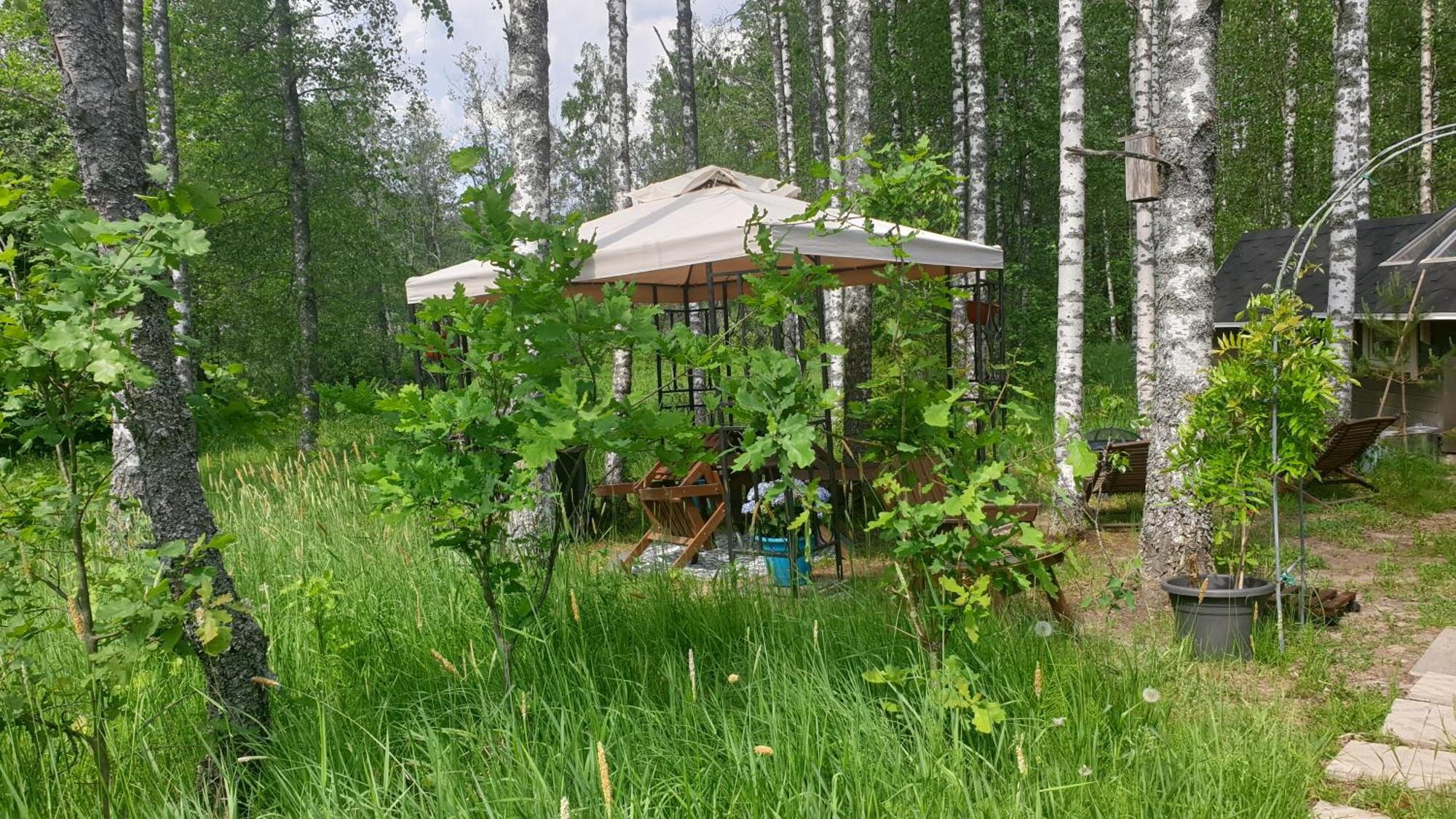 אספו Troll House Eco-Cottage, Nuuksio For Nature Lovers, Petfriendly מראה חיצוני תמונה